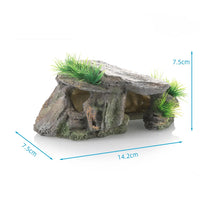 Plateforme de grimpe pour tortue vue d'ensemble