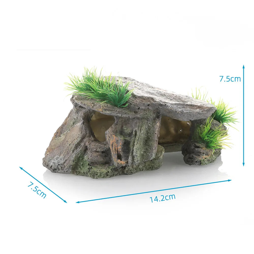 Plateforme de grimpe pour tortue vue d'ensemble