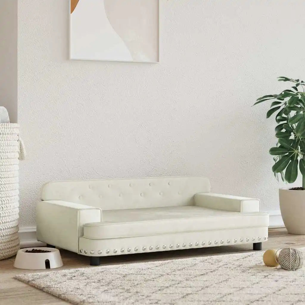 Vue de détail du tissu du coussin pour chien