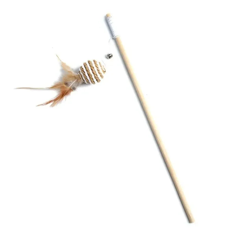 Canne à plumes rangée