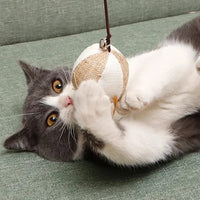 Chat jouant avec la canne à plumes