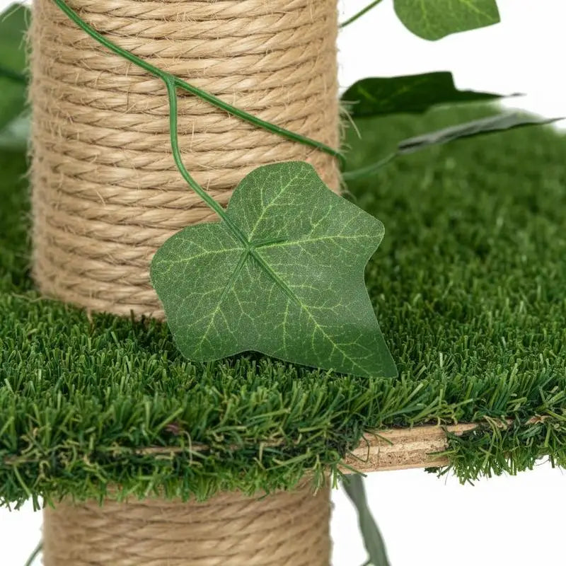 Chat installé dans le hamac de l'arbre à chat