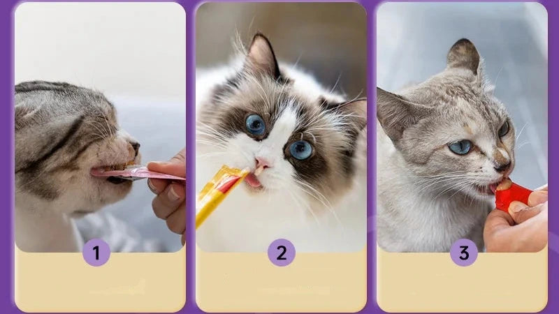 Gamelle pour chat coloris vert d'eau