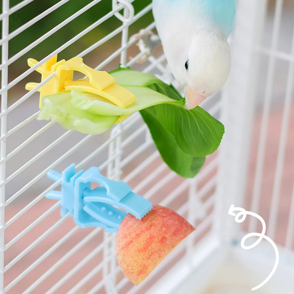 Pince porte-légumes pour perruche - détail