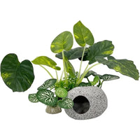 Herbes aquatiques artificielles pour aquarium - vue d'ensemble