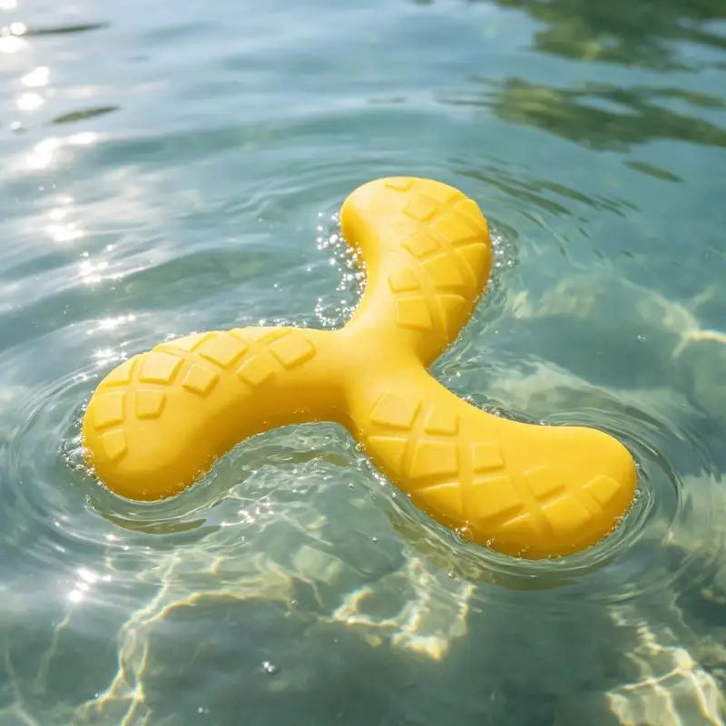 Boomerang en mousse EVA pour chien - chien tenant le jouet dans sa gueule
