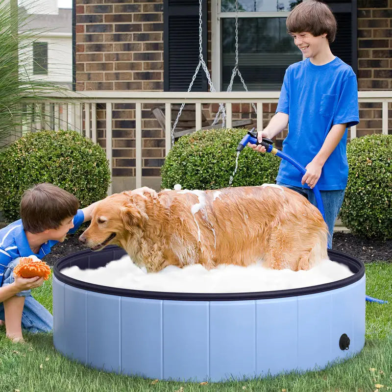 Piscine pliable bleue pour chien installée au jardin