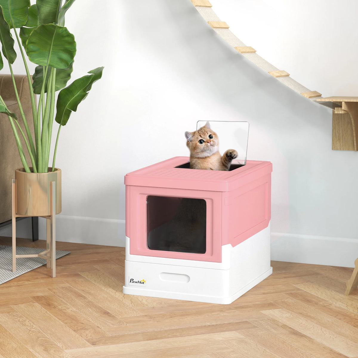 Chat sortant de la maison de toilette rose