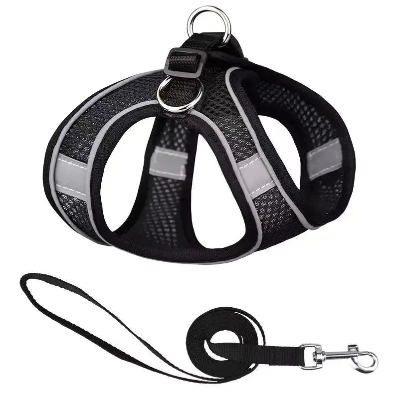 Harnais ajustable pour chien et chat – détail des sangles réglables