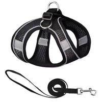 Harnais ajustable pour chien et chat – détail des sangles réglables