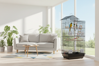 Ara bleu et jaune près de la cage à oiseaux avec jouets