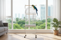 Ara macaw