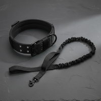 Ensemble laisse pour chien coloris noir