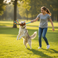 Corde à mâcher pour chien coloris bleu et marron