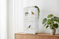 Cage à oiseaux en métal, ambiance décorative