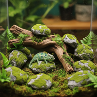 Caméléon près de l'ornement effet mousse