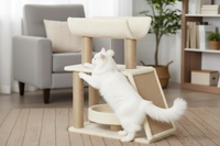 Chat blanc minimaliste