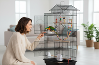 Femme observant son perroquet près de la cage à oiseaux