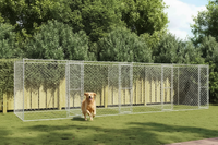 Golden Retriever près de la niche en acier galvanisé
