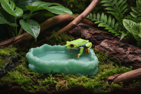 Grenouille tropicale près de la gamelle décorative effet pierre