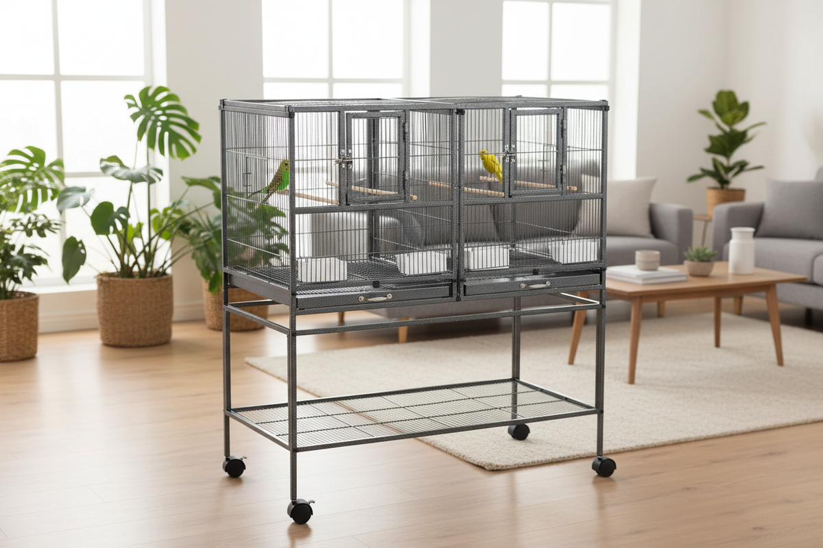 Perruches installées dans la grande cage à oiseaux au salon