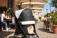 Poméranien détendu dans la poussette pliable pour chien