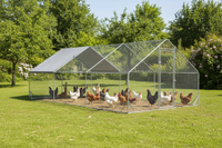 Poules dans le grand poulailler galvanisé installé au jardin