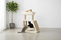 Trois chats minimaliste