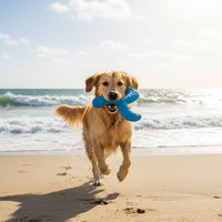 Boomerang volant pour chien - coloris disponible 1