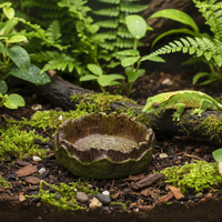 Gamelle reptile forme souche d'arbre, modèle 1