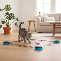 Tapis roulant automatique pour chat, vue d'ensemble