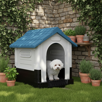 Intérieur de la niche extérieure pour chien